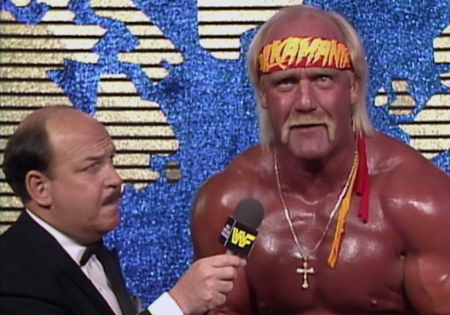 Separating Hulk Hogan and Terry Bollea